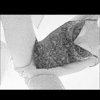 Profil de Heide, 40 ans, Libertine à Frampton