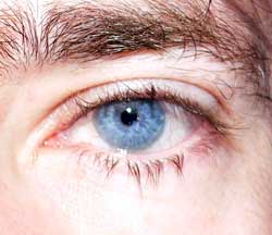 Profil de Ariel, 52 ans, Libertine à Gerald