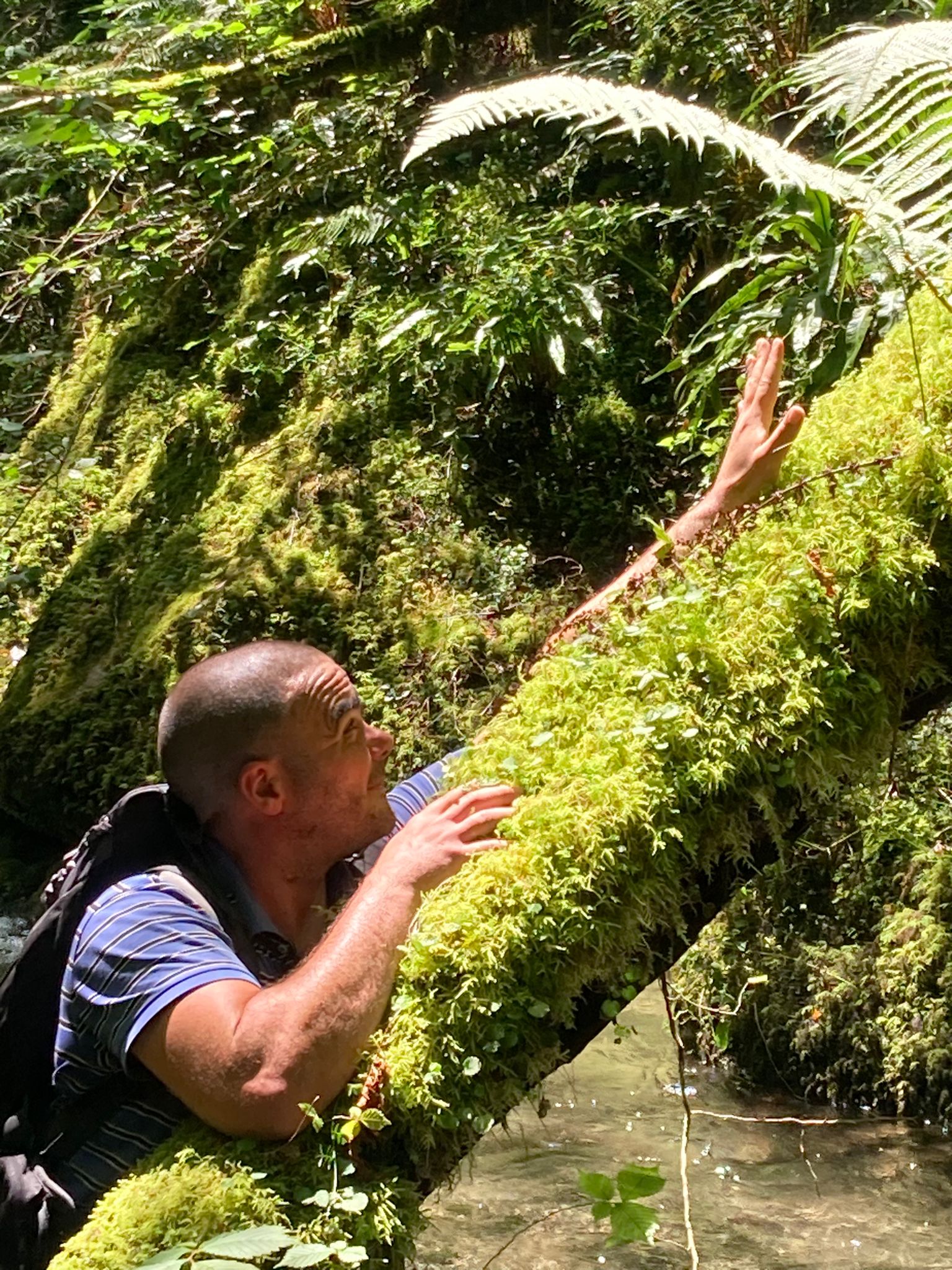Profil de Mirza, 41 ans, Libertine à Daysland