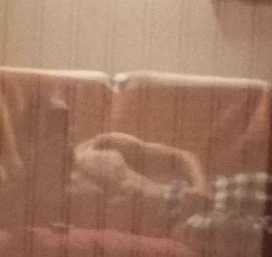 Profil de Loukas, 23 ans, Libertine à Maisonnette