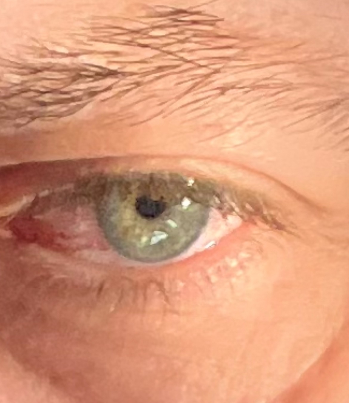 Profil de Rhyan, 48 ans, Libertine à Melbourne