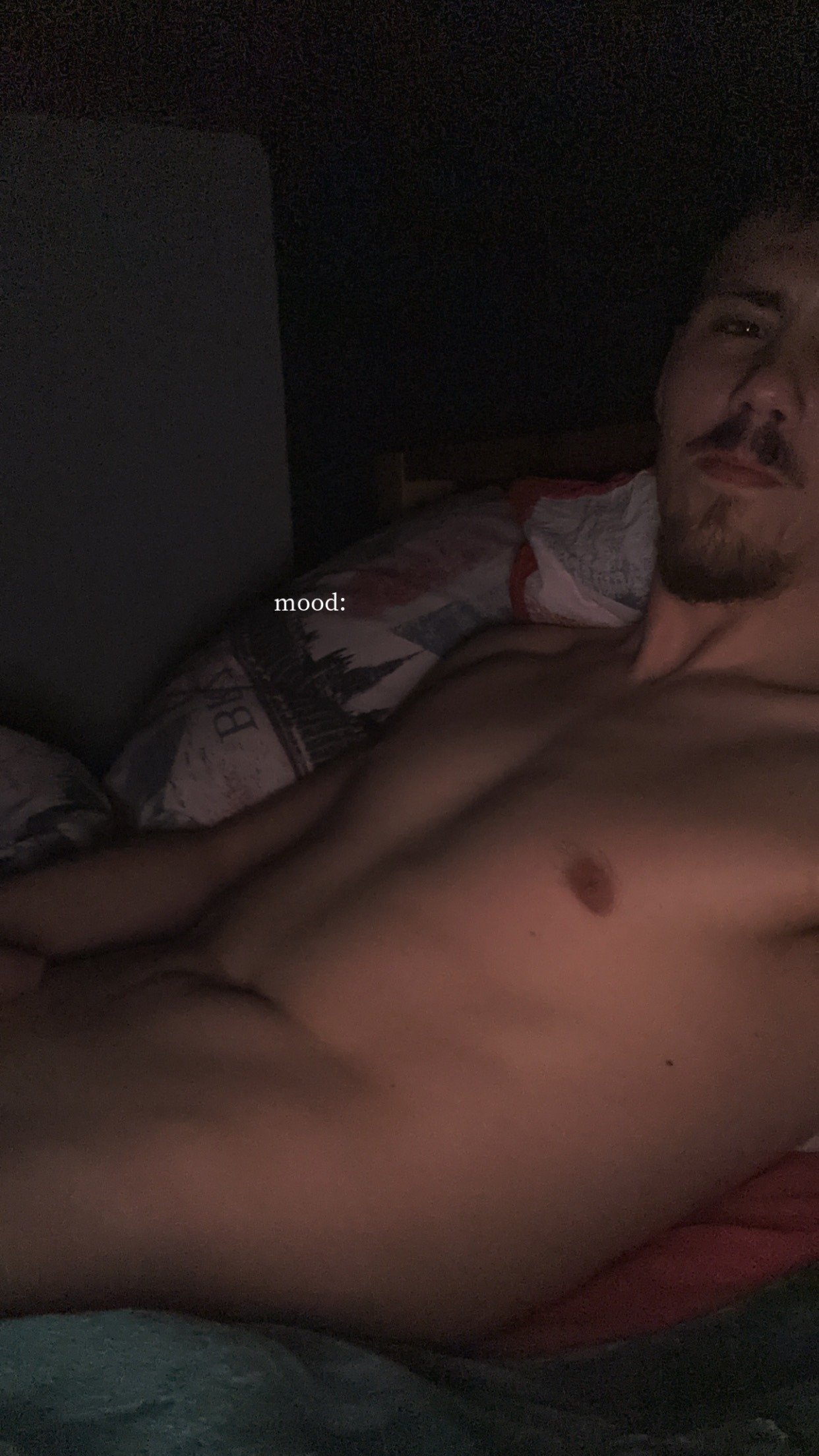 Profil de Irchad, 24 ans, Libertine à Wallace-Woodworth